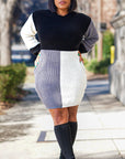 Model is wearing Color Block Knit Sweater Dress She's Elegant